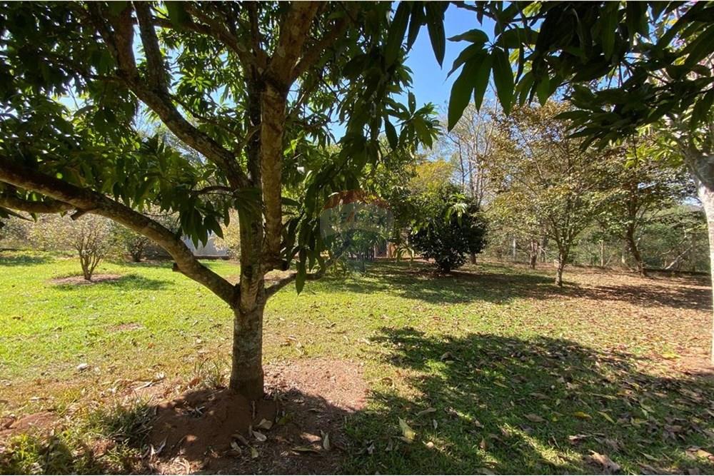 Chácara / Sítio / Fazenda - Venda - Jacutinga , Minas Gerais - WhatsApp Image 2025-08-06 at 14.30.50 (2).jpeg - 690291077-290