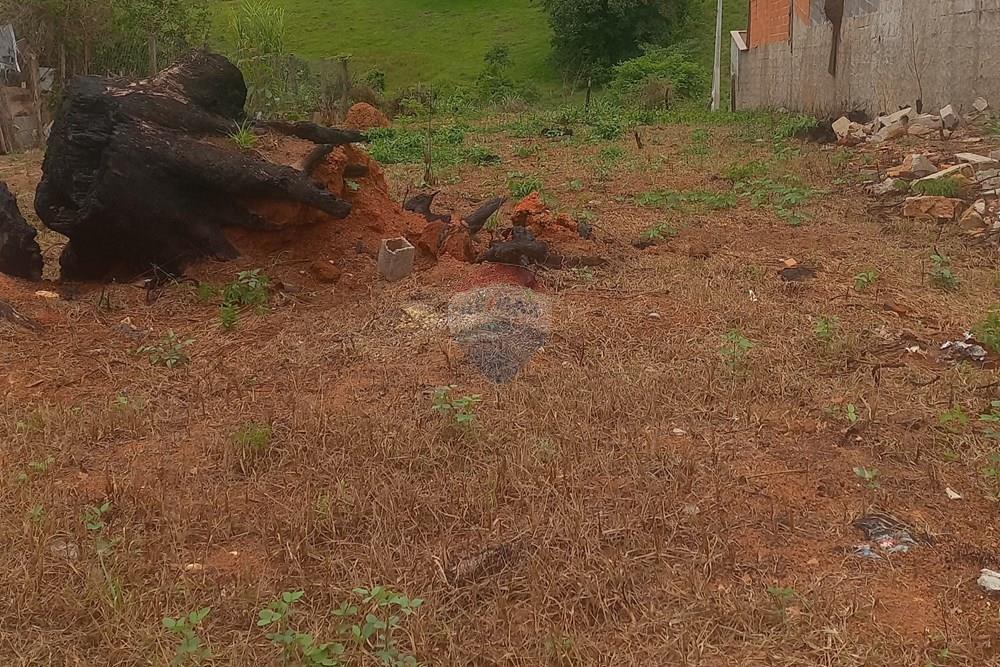 Terreno - Venda - Socorro , São Paulo - 20260116_123643.jpg - 690041151-29