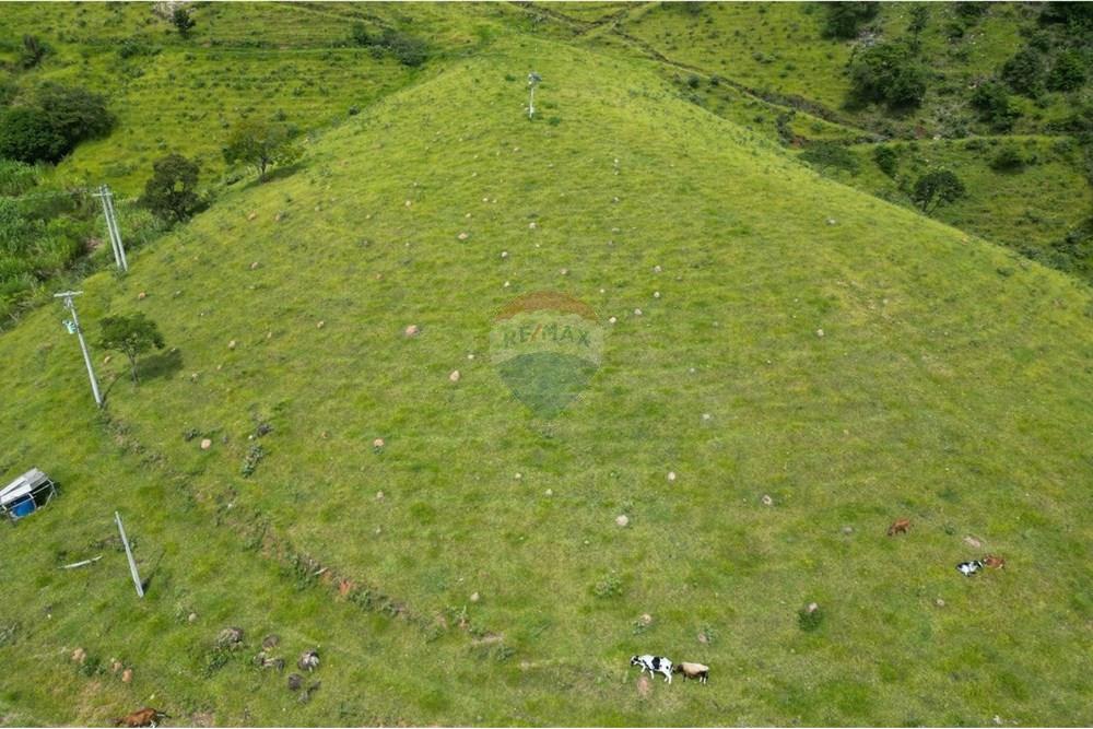 Fazenda - Venda - Serra Negra , São Paulo - IMG-20250326-WA0190.jpg - 690291056-26