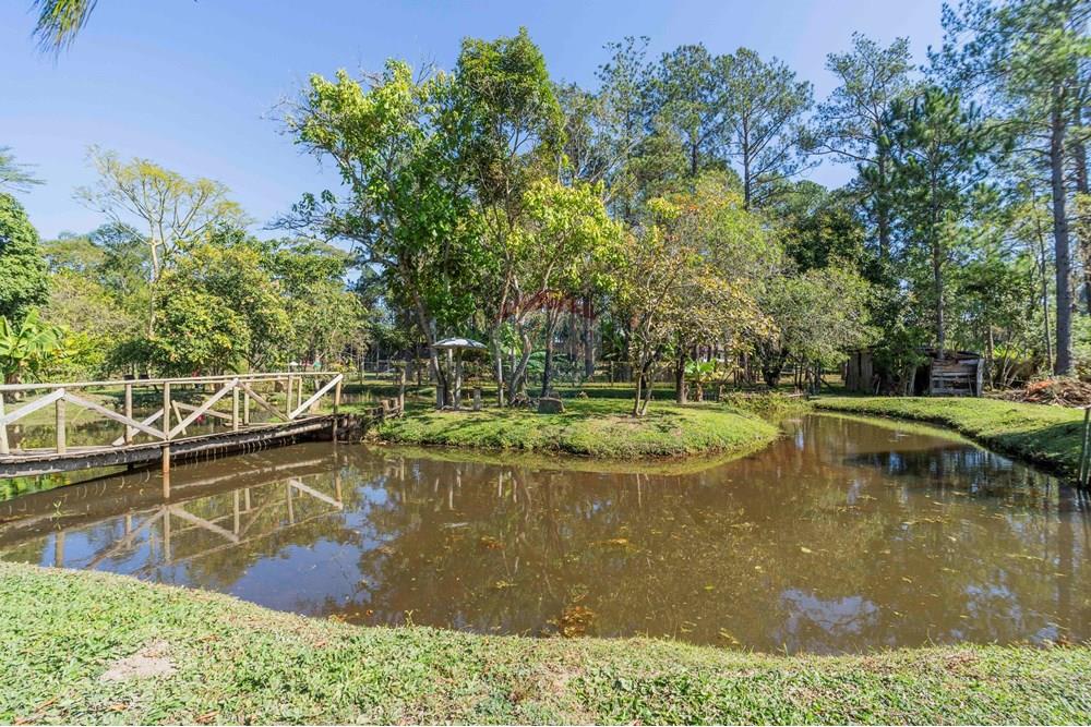 Chácara / Sítio / Fazenda - Venda - Itatiba , São Paulo - foto imobiliarias- brmaker00-358.jpg - 690661026-143