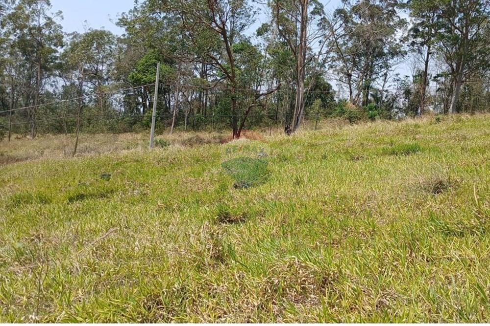 Terreno - Venda - Bragança Paulista , São Paulo - 20251007_111441~2 (1).jpg - 690141085-26