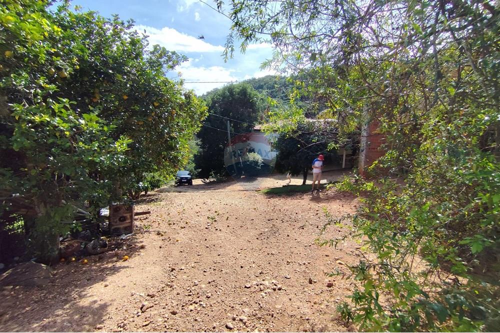 Chácara / Sítio / Fazenda - Venda - Itapira , São Paulo - 1751510168562.jpg - 690291085-364