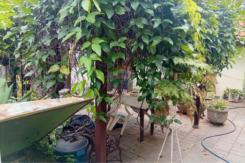 Chácara / Sítio / Fazenda - Venda - Campinas , São Paulo - 7 piscina.jpeg - 690331038-16