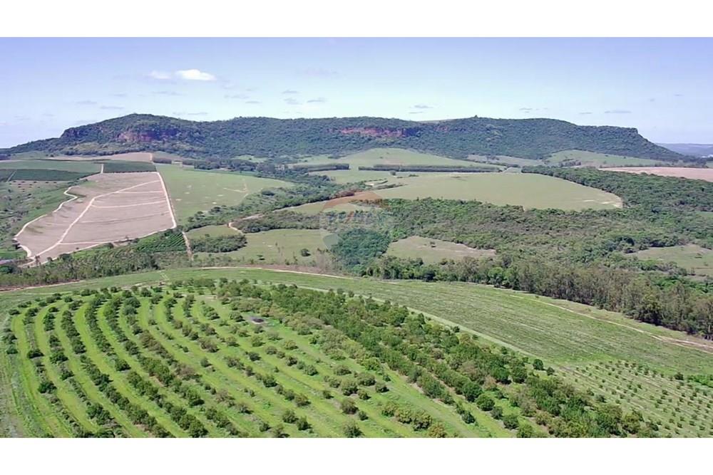 Fazenda - Venda - Analândia , São Paulo - 5d97bb66-0a99-4ae9-8e70-9301677c372e.jpg - 690691016-305