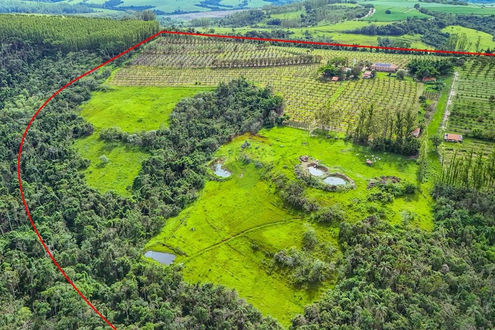 Fazenda - Venda - Analândia , São Paulo - Tratada - Drone-36.jpg - 690691016-305