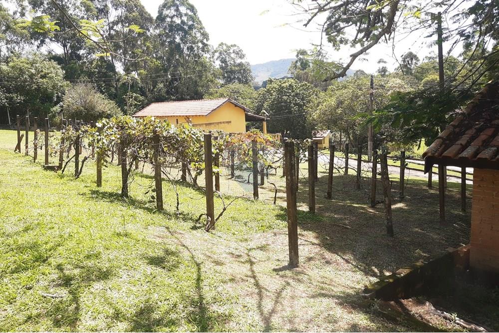 Chácara / Sítio / Fazenda - Venda - Vargem , São Paulo - PARREIRAS.jpg - 690141085-33