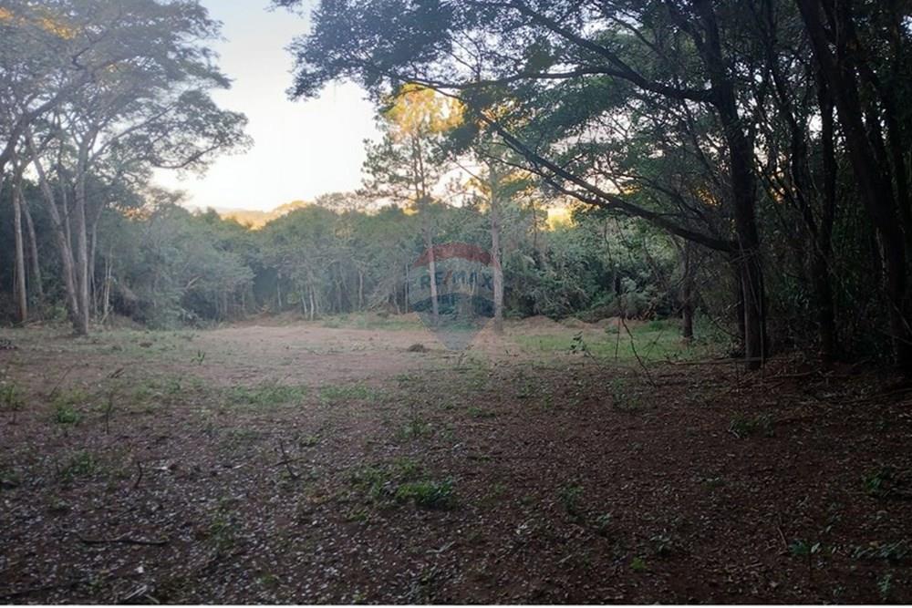 Terreno - Venda - Bragança Paulista , São Paulo - 20250530_164150.jpg - 690141085-18