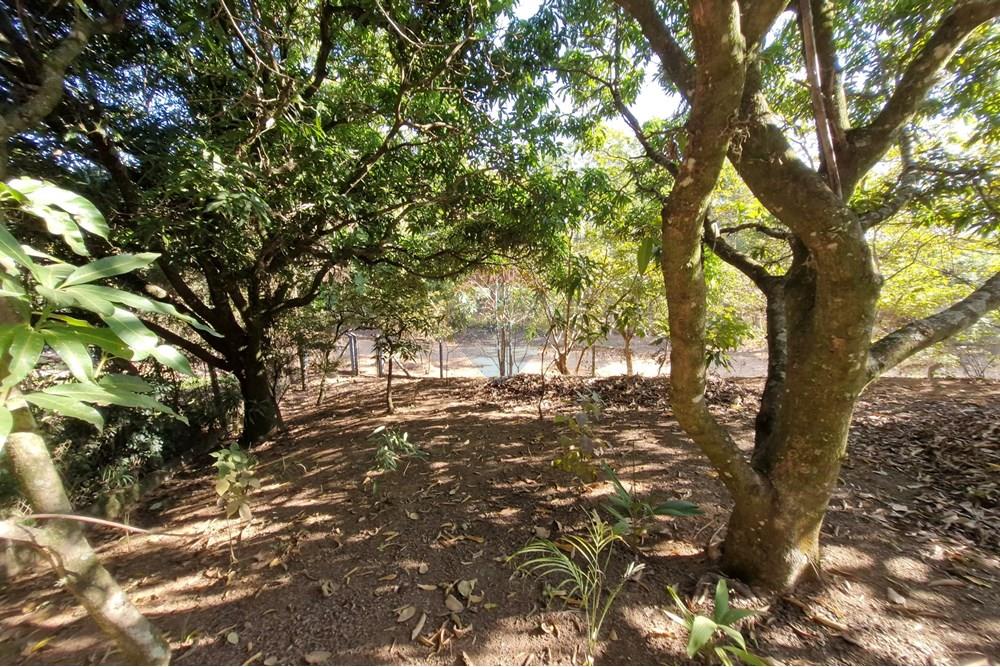 Terreno - Venda - Jaguariúna , São Paulo - 20250814_151951.jpg - Pátio interno - 690671008-327