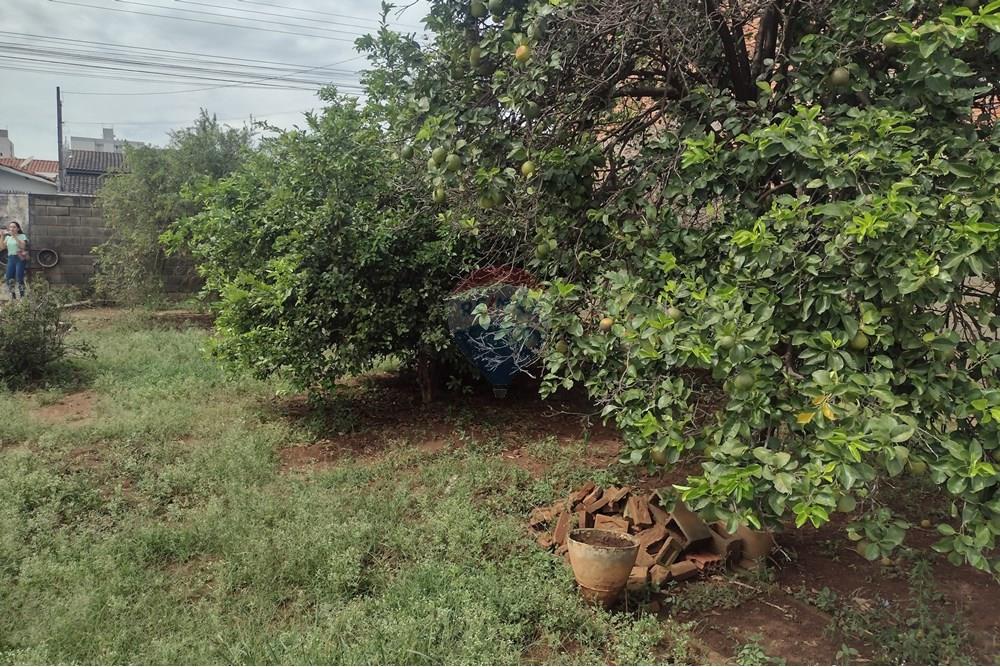 Terreno - Venda - Cosmópolis , São Paulo - 08.jpg - 690831004-213