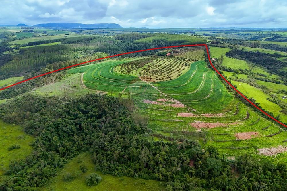 Fazenda - Venda - Analândia , São Paulo - Tratada - Drone-16.jpg - 690691016-305