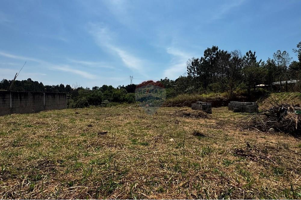 Terreno - Venda - Jarinu , São Paulo - IMG_3333.JPEG - 691121003-32