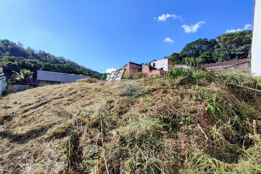 Terreno - Venda - Pedreira , São Paulo - 8.jpg - 690671008-364