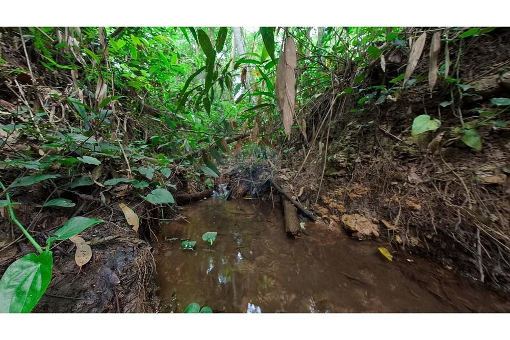 Chácara / Sítio / Fazenda - Venda - Araras , São Paulo - IMG_20250115_161042_00_395_PureShot.jpg - 690691016-236