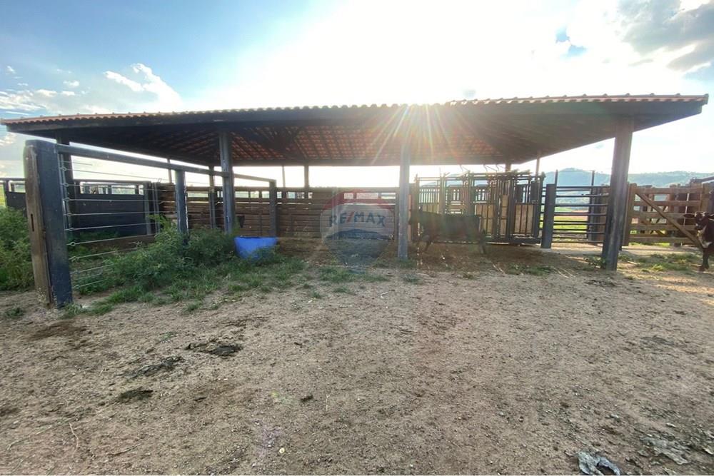 Chácara / Sítio / Fazenda - Venda - Socorro , São Paulo - WhatsApp Image 2026-03-04 at 13.32.24 (2).jpeg - 690041167-12