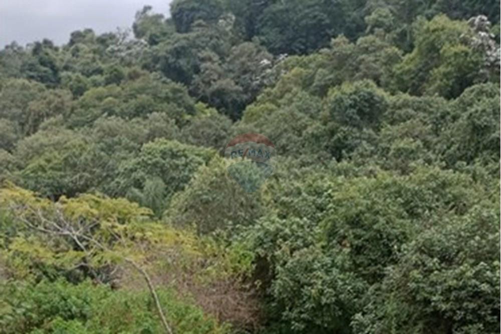 Casa de Condomínio - Alugar - Santana de Parnaíba , São Paulo - WhatsApp Image 2025-05-28 at 12.20.44.jpeg - Jardim Externo - 691081002-26