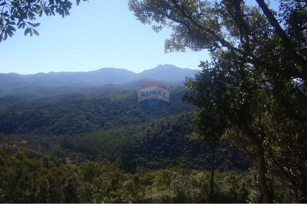 Chácara / Sítio / Fazenda - Venda - Joanópolis , São Paulo - WhatsApp Image 2025-02-04 at 18.24.29.jpeg - 691011021-45