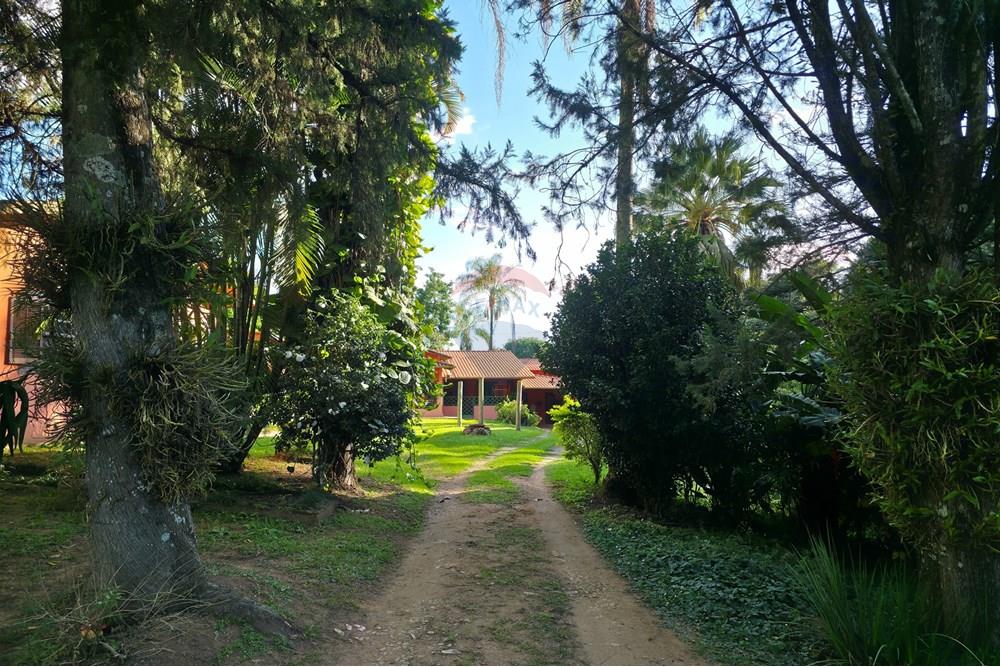 Chácara / Sítio / Fazenda - Venda - Socorro , São Paulo - 20250505_155414.jpg - Jardim Externo - 690041041-39