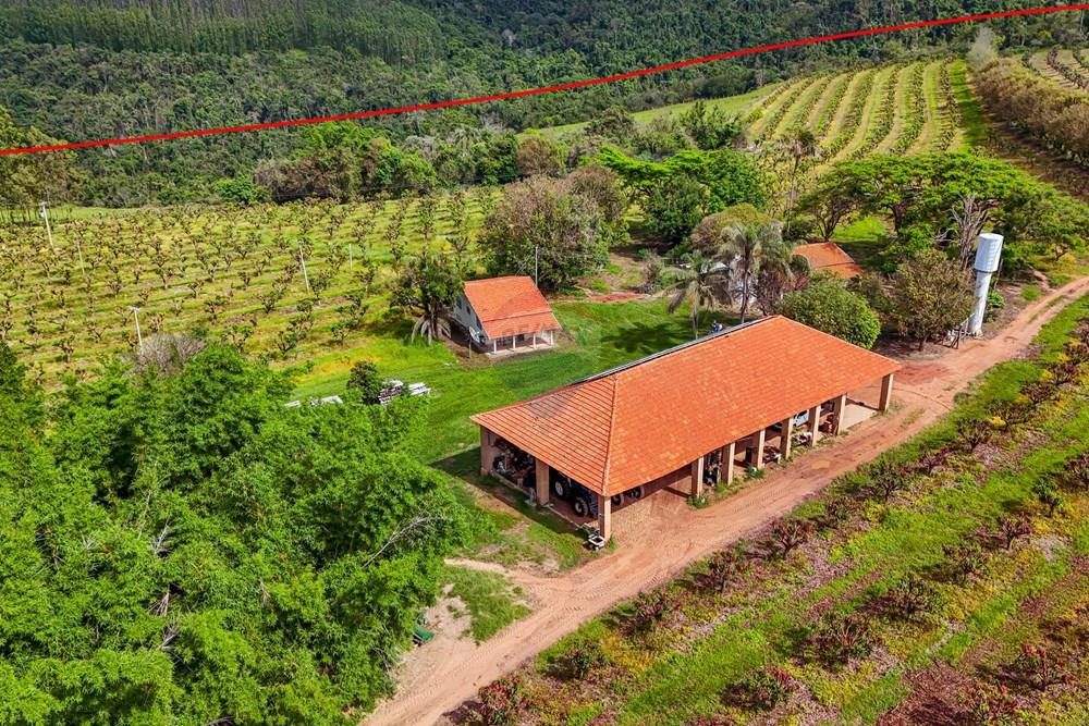 Fazenda - Venda - Analândia , São Paulo - Tratada - Drone-66.jpg - 690691016-305