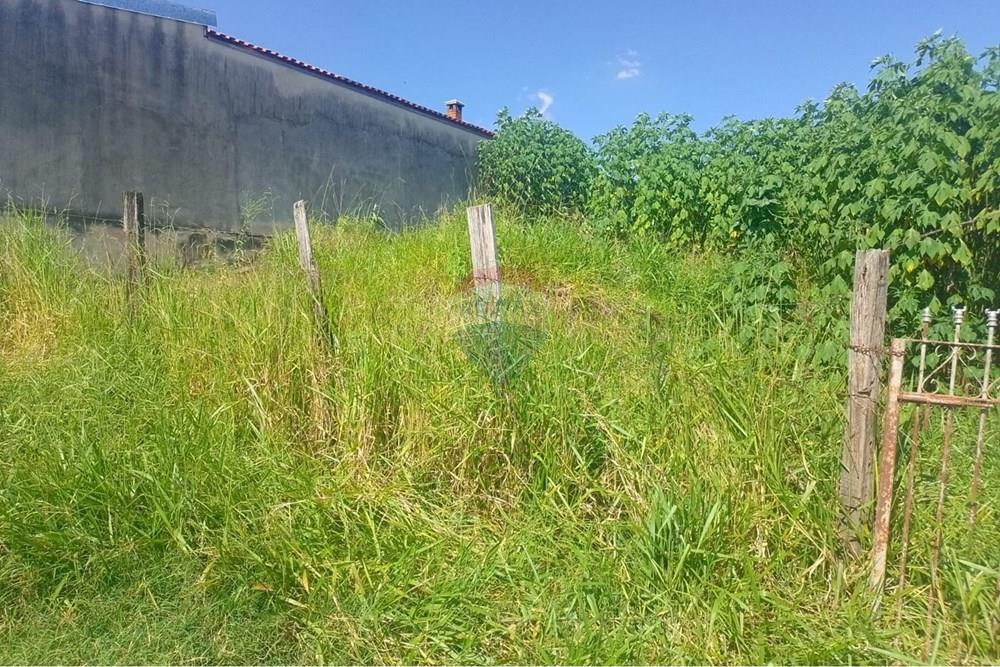 Terreno - Venda - Mogi Mirim , São Paulo - WhatsApp Image 2026-03-04 at 23.28.48 (1).jpeg - 690751108-20