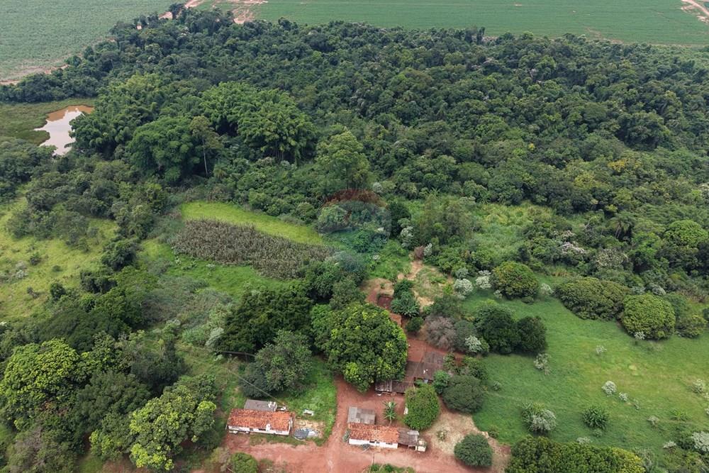 Agro - Venda - Araraquara , São Paulo - 17.jpeg - 690151012-120