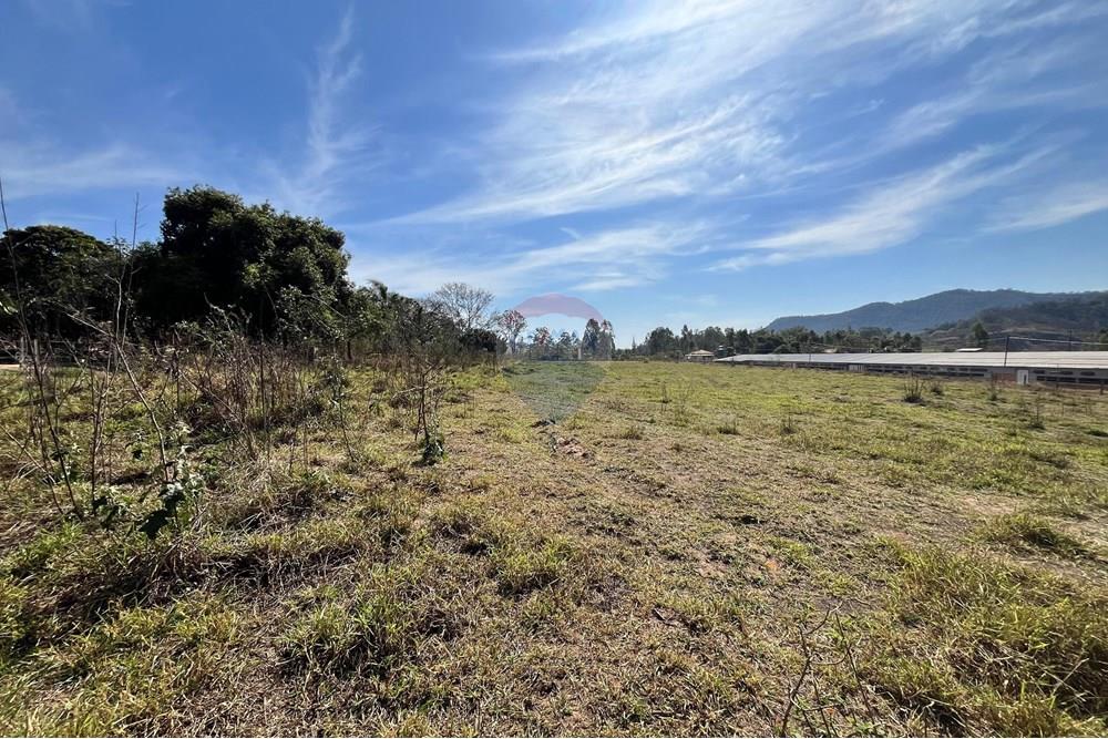 Chácara / Sítio / Fazenda - Venda - Corumbataí , São Paulo - WhatsApp Image 2025-08-27 at 15.25.29.jpeg - 690811006-143