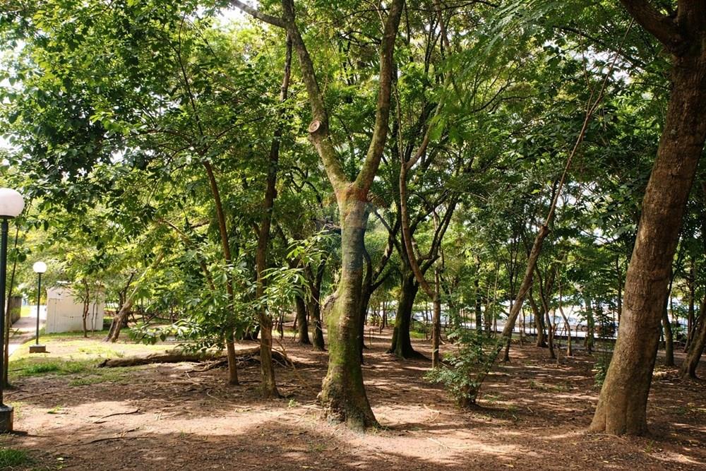 Apartamento - Venda - Americana , São Paulo - ChatGPT Image 27 de fev. de 2026, 23_39_33.jpg - 690641091-13