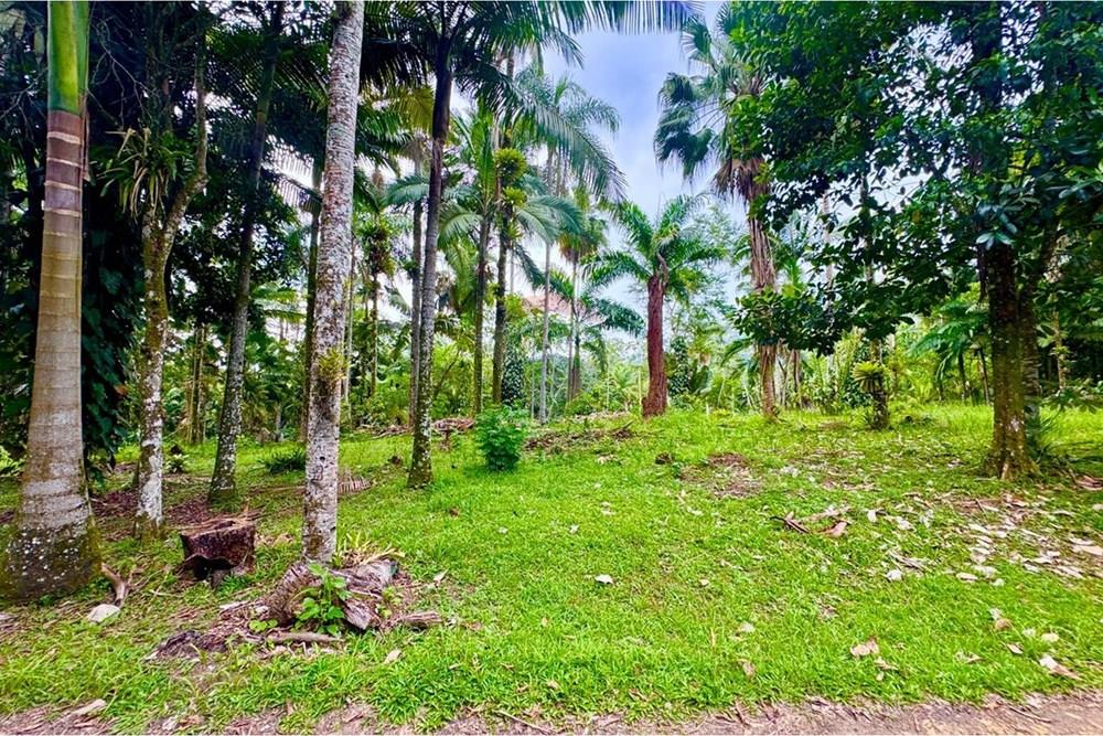 Terreno - Venda - Peruíbe , São Paulo - WhatsApp Image 2026-01-15 at 14.40.39 (1).jpeg - 691111009-61