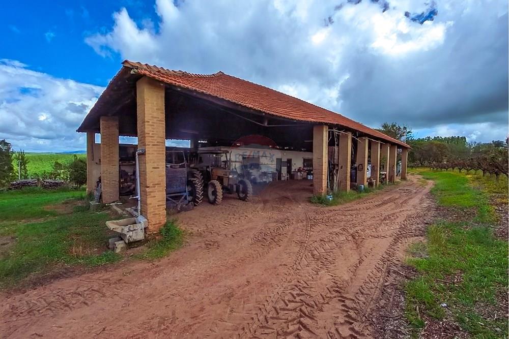 Fazenda - Venda - Analândia , São Paulo - Tratada-26.jpg - 690691016-305