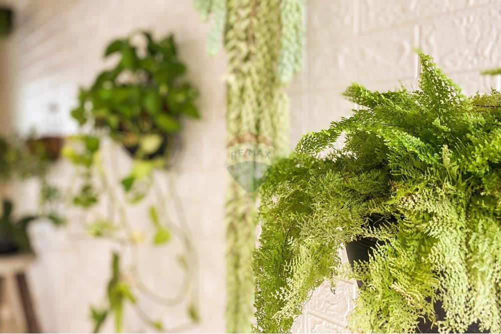 Casa - Venda - Mogi Mirim , São Paulo - IMG_4035_jpg.JPG - 690751017-124