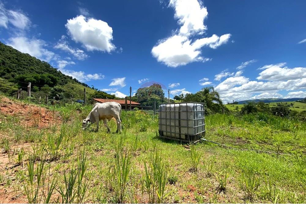 Chácara / Sítio / Fazenda - Venda - Lindóia , São Paulo - Imagem do WhatsApp de 2025-02-25 à(s) 19.33.42_2b053d46.jpg - 690291077-296