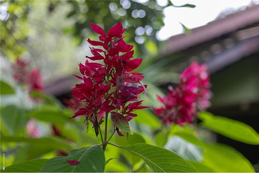Casa de Condomínio - Venda - Vinhedo , São Paulo - 49 - 690941017-40