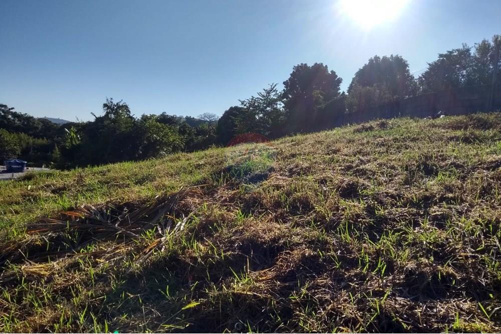 Terreno - Venda - Itatiba , São Paulo - IMG-20250611-WA0029.jpg - 690661084-8