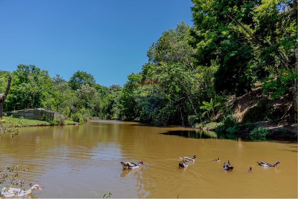 Chácara / Sítio / Fazenda - Venda - Jarinu , São Paulo - RINf-062.jpg - 690921112-9