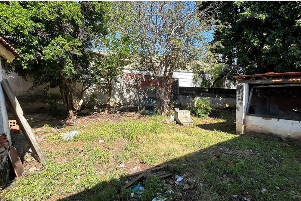 Terreno - Venda - Americana , São Paulo - IMG_8333.jpg - 690641010-528