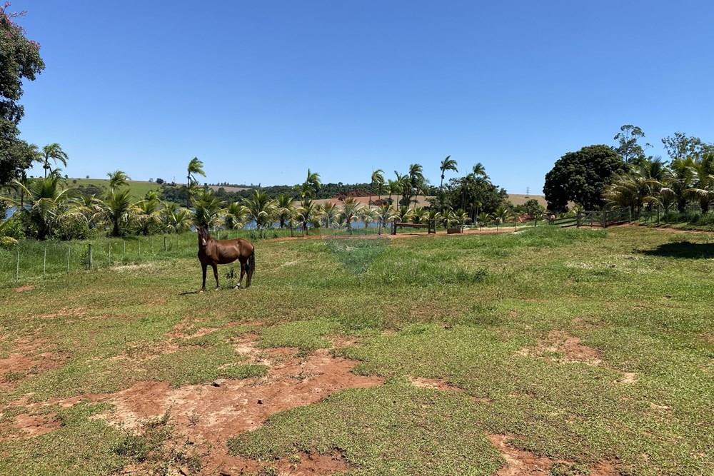 Fazenda - Venda - Piraju , São Paulo - IMG_7322 - Copia - Copia - Copia.jpg - 690061038-29