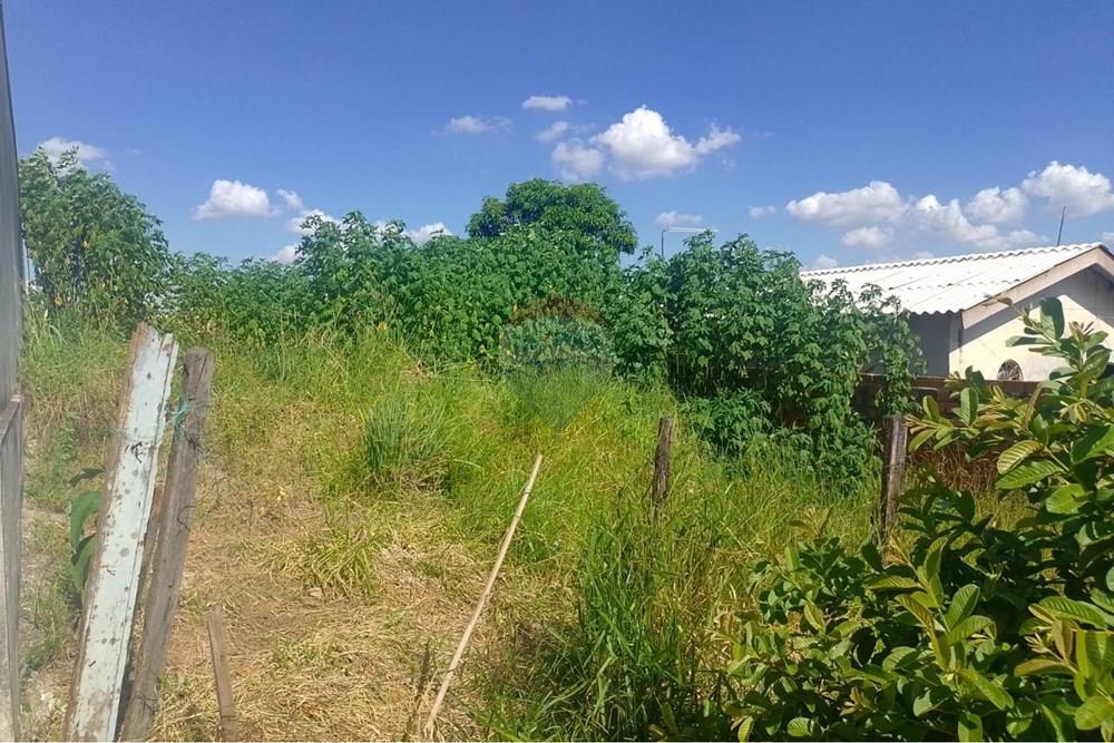 Terreno - Venda - Mogi Mirim , São Paulo - WhatsApp Image 2026-03-04 at 23.28.49 (1).jpeg - 690751108-20