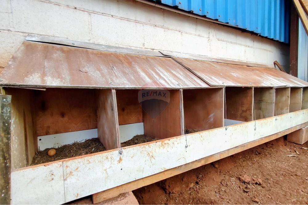 Chácara / Sítio / Fazenda - Venda - Mogi Mirim , São Paulo - 74.jpg - 690521007-331