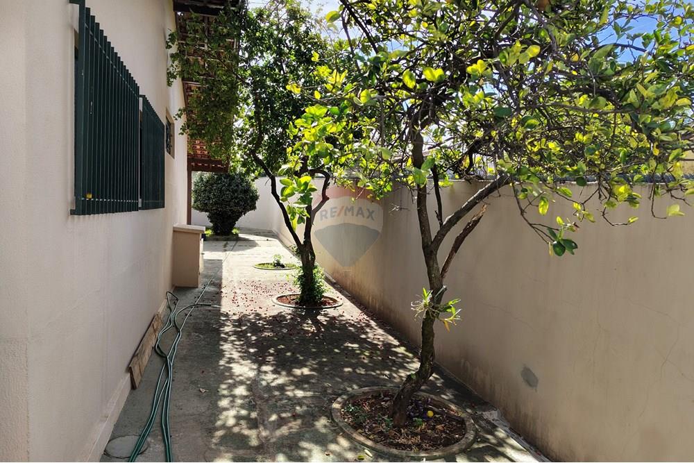 Casa - Alugar - Cosmópolis , São Paulo - IMG_20250510_103846418_HDR.jpg - Quintal - 690831047-414