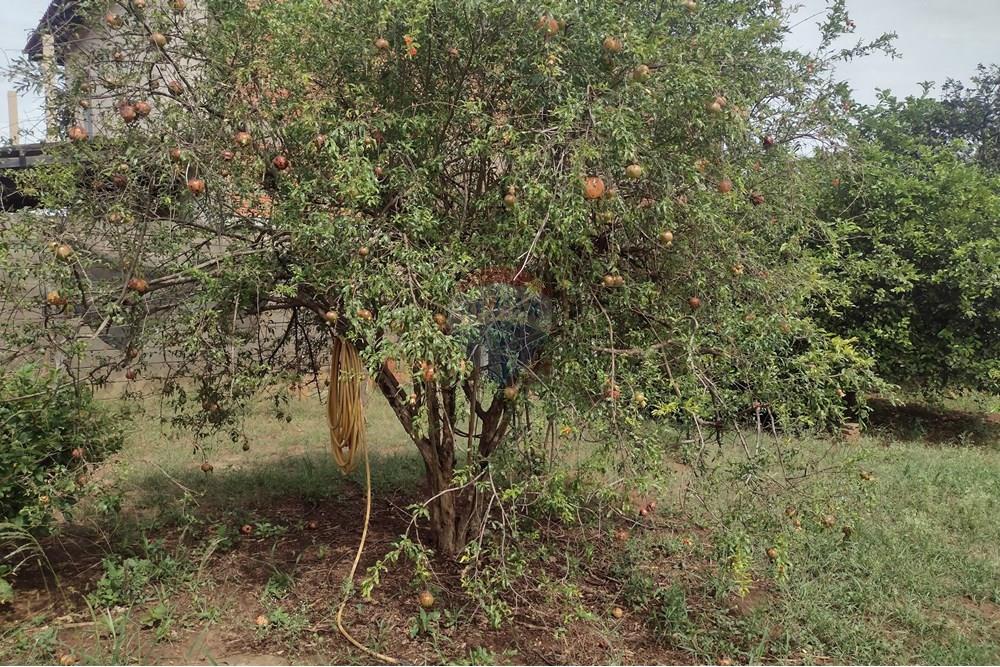 Terreno - Venda - Cosmópolis , São Paulo - 04.jpg - 690831004-213