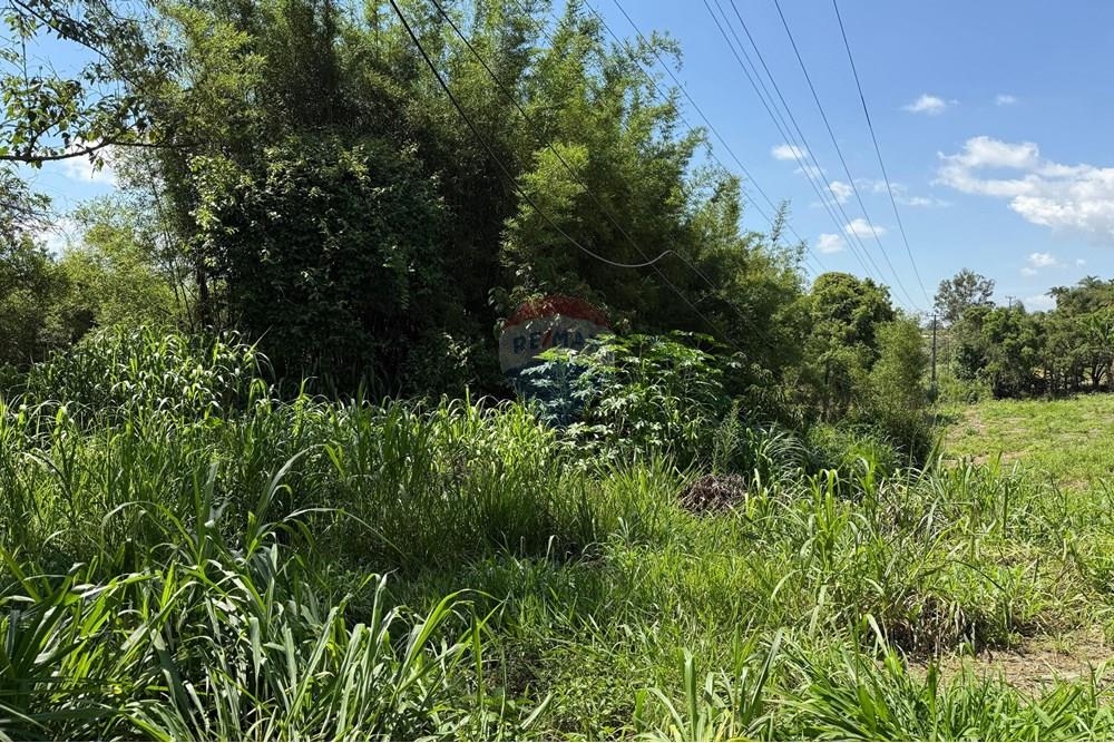 Terreno - Venda - Tuiuti , São Paulo - lote t 10.jpeg - 690041137-56