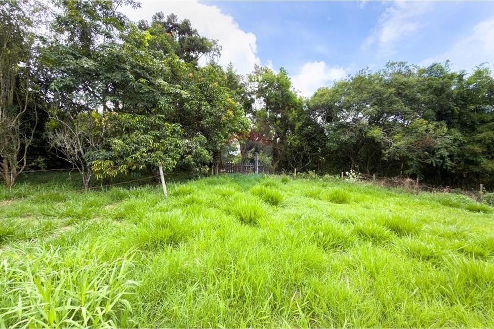 Chácara / Sítio / Fazenda - Venda - Jarinu , São Paulo - WhatsApp Image 2026-01-22 at 17.29.49 (1).jpeg - 690661027-149