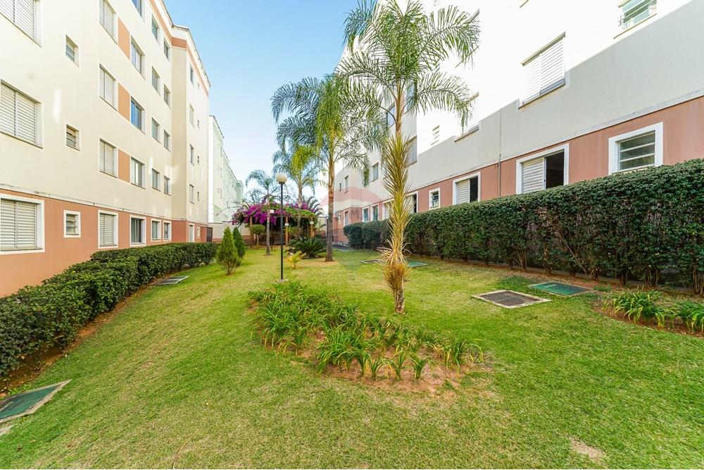 Apartamento - Venda - Campinas , São Paulo - DSC06834.jpg - 690491075-29