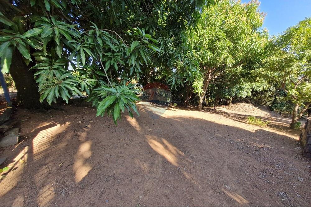 Residential - Land - Jaguariúna , Sao Paulo - BR - 20250814_151732.jpg - Backyard - 690671008-326