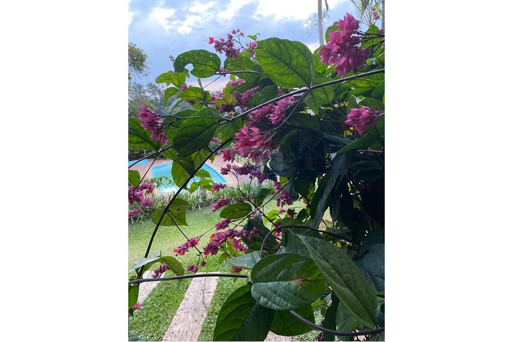 Chácara / Sítio / Fazenda - Venda - Jundiaí , São Paulo - FOTOS ANA LAURA 46.jpeg - 690361043-2