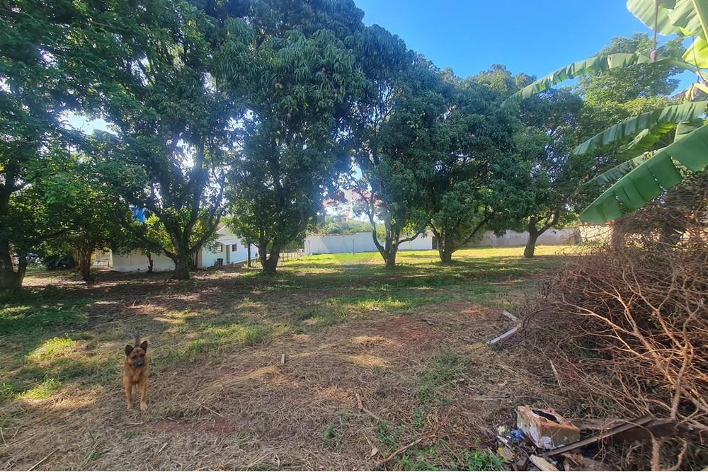 Agro - Alugar - Artur Nogueira , São Paulo - 20251120_160038.jpg - 690671009-93