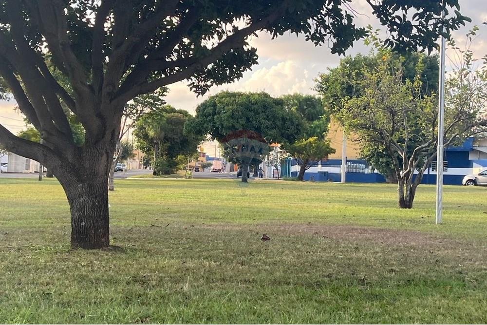 Terreno - Venda - Paulínia , São Paulo - WhatsApp Image 2025-06-12 at 10.50.09.jpeg - 690511143-79