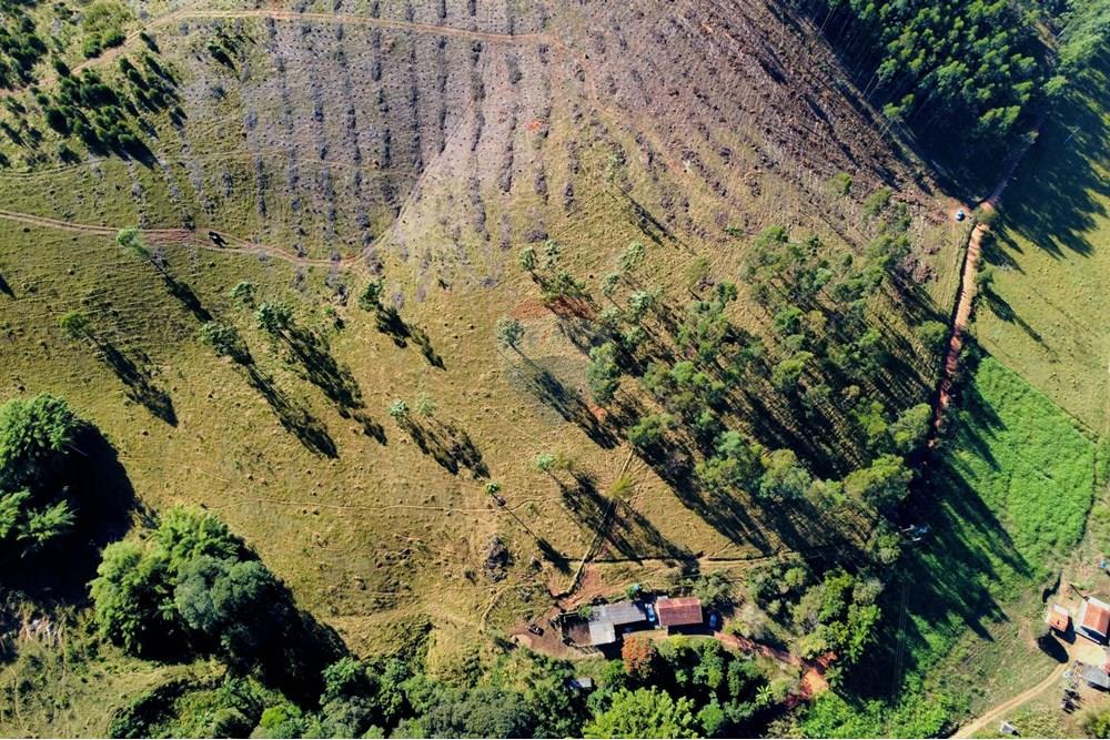 Chácara / Sítio / Fazenda - Venda - Socorro , São Paulo - dji_fly_20250617_095524_227_1750165046880_photo_optimized.jpg - 690291056-39