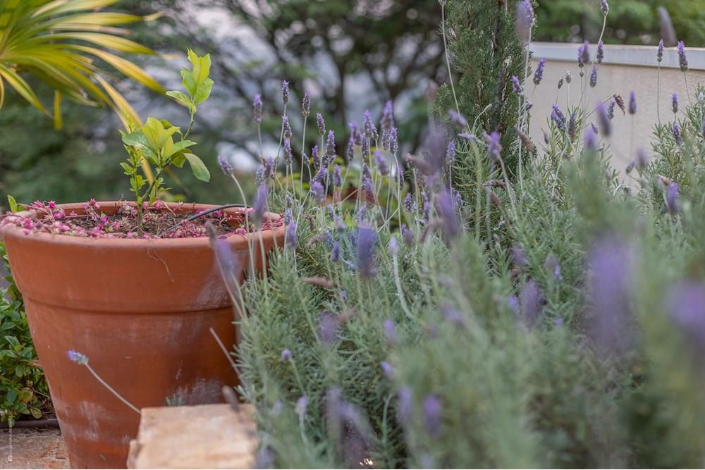 Casa de Condomínio - Venda - Louveira , São Paulo - TKD-14776.jpg - 690941025-177