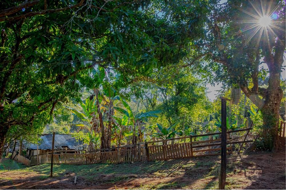 Chácara / Sítio / Fazenda - Venda - Atibaia , São Paulo - RINF-151.jpg - 690921066-77