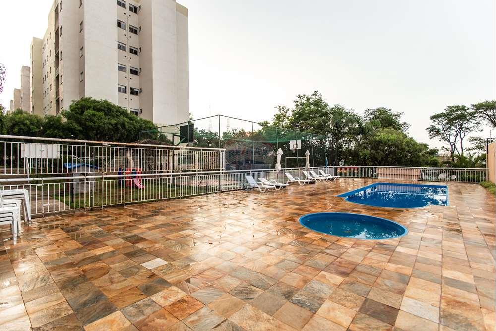 Apartamento - Alugar - Valinhos , São Paulo - shv_redepro_161023-1813.jpg - 691091011-105